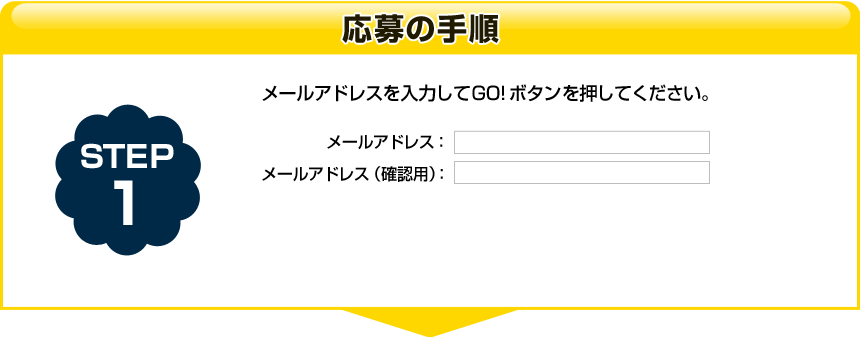 STEP1 メールアドレスを入力してGOボタンを押してください。