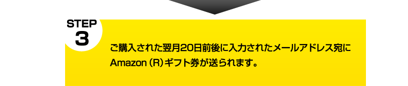 翌月20日前後に入力されたメールアドレス宛にAmazon（R）ギフト券が送られます。