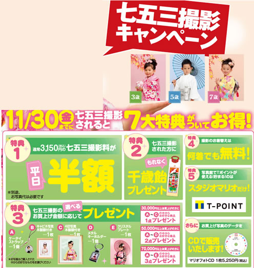 スタジオマリネのキャンペーンページ