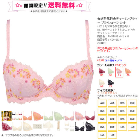 ブラとショーツのセットの詳細画像