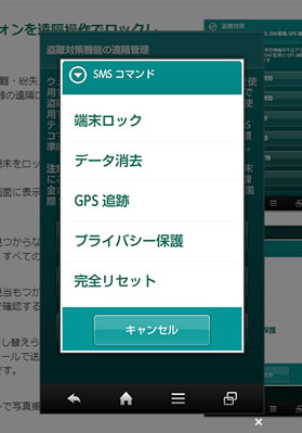 遠隔操作画面のスクリーンショット