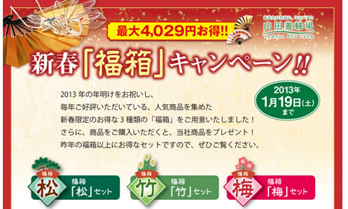 福箱キャンペーンの販売ページ画像