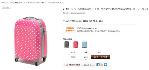 ワカマツのキャリーバッグ