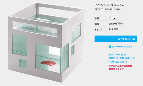 コンドミニアムの中で金魚が泳いでいる写真