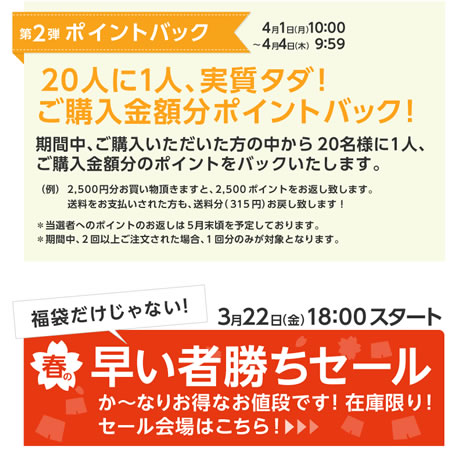 グンゼで20分の1の確率で全額ポイントバック　2013年