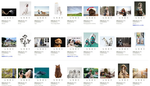 gettyimageの写真の一覧