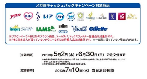 キャンペーンの内容説明