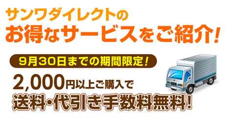 送料無料の条件