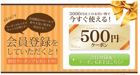 ネットプライス　新規会員登録で500円クーポン