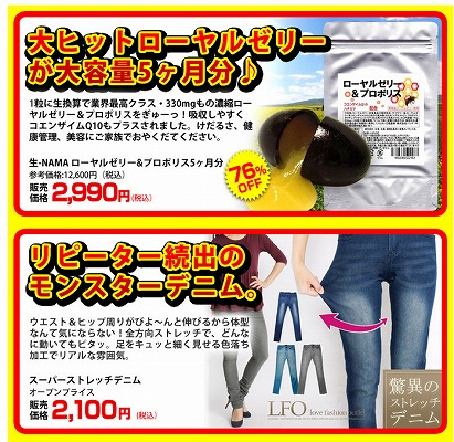 ネットプライスの販売商品紹介