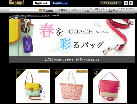 対象のバッグの画像