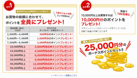 ポイントプレゼントの説明