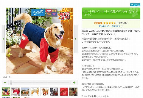 JコートBレインコートを身に着けた写真