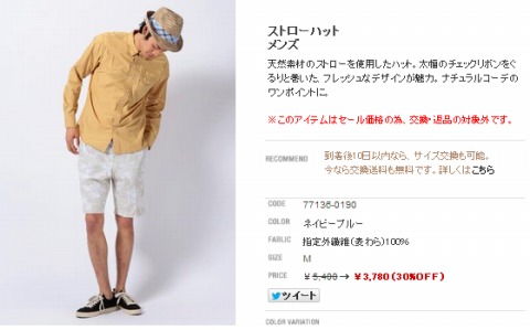 ストローハットメンズの写真