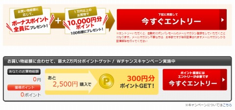 Wチャンス2つ目の概要