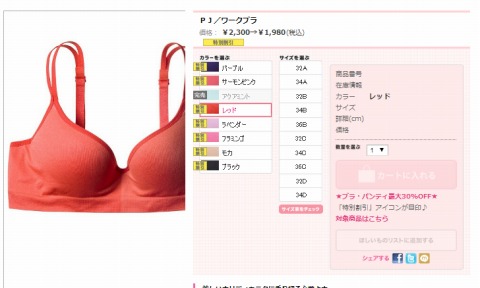 ワークブラの販売ページ画像