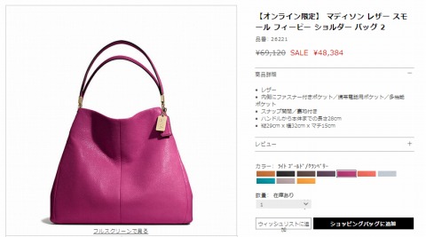 マディソンレザースモールフィービー　ホルダーバッグ2の写真