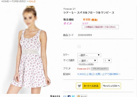 シアーレースパネルフローラルワンピースの写真