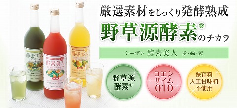 酵素美人の特徴