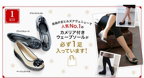 カメリアセットの靴の写真