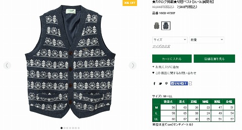 切替ベストの写真