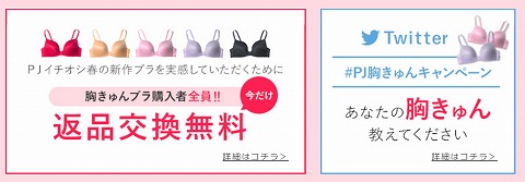 キャンペーン概要