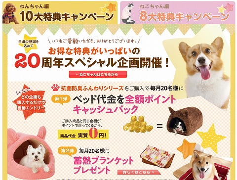 梅春キャンペーンの概要