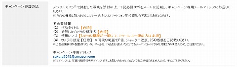 エントリー方法の説明