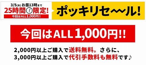 サンワダイレクト　１０００円ぽっきりセールは残り数時間