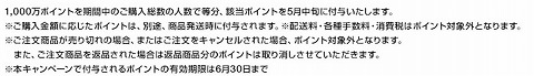 プレゼントのポイントの説明