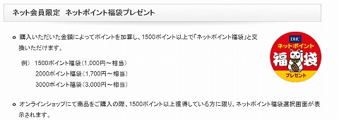 ネットポイント福袋のポイント数