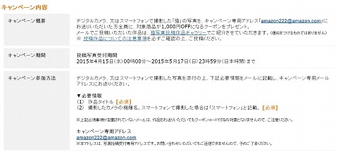 キャンペーンの条件