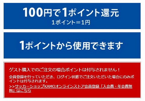 ポイントの注意事項