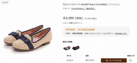 カロリーウォークのシューズの写真