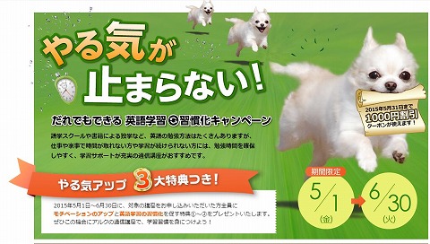 キャンペーンの告知