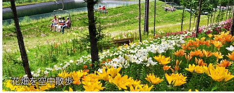 空中散歩のイメージ