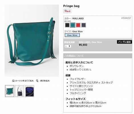 Fringe bagの写真