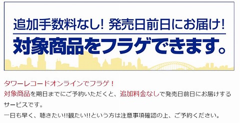 フラゲサービスの内容