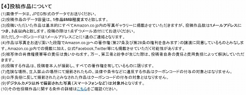 投稿に関する注意事項