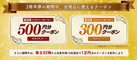 300円・500円クーポンの説明