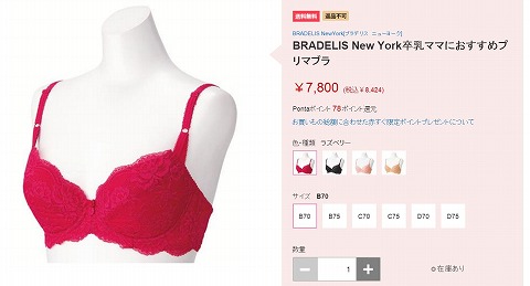 ブラの販売写真