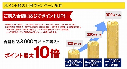 購入額とポイントプレゼントの説明