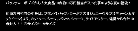 BUFFALO BOBSの中身の紹介