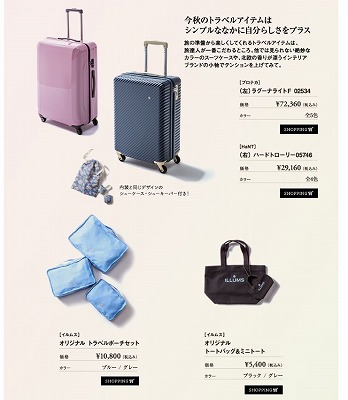 キャリーバッグの写真