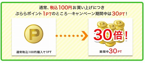 キャンペーン概要