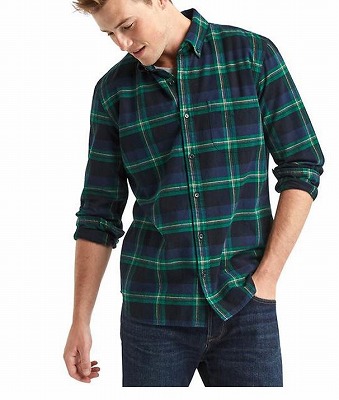 フィットの写真